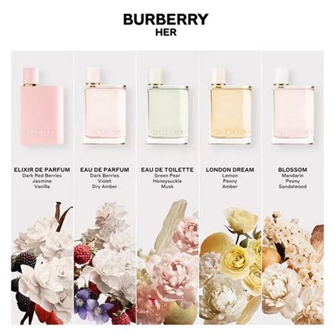 what does burberry london for her smell like|burberry london perfume original.